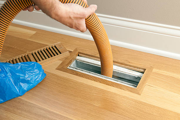 Best Air Duct Mold Removal  in Powers Lake, WI